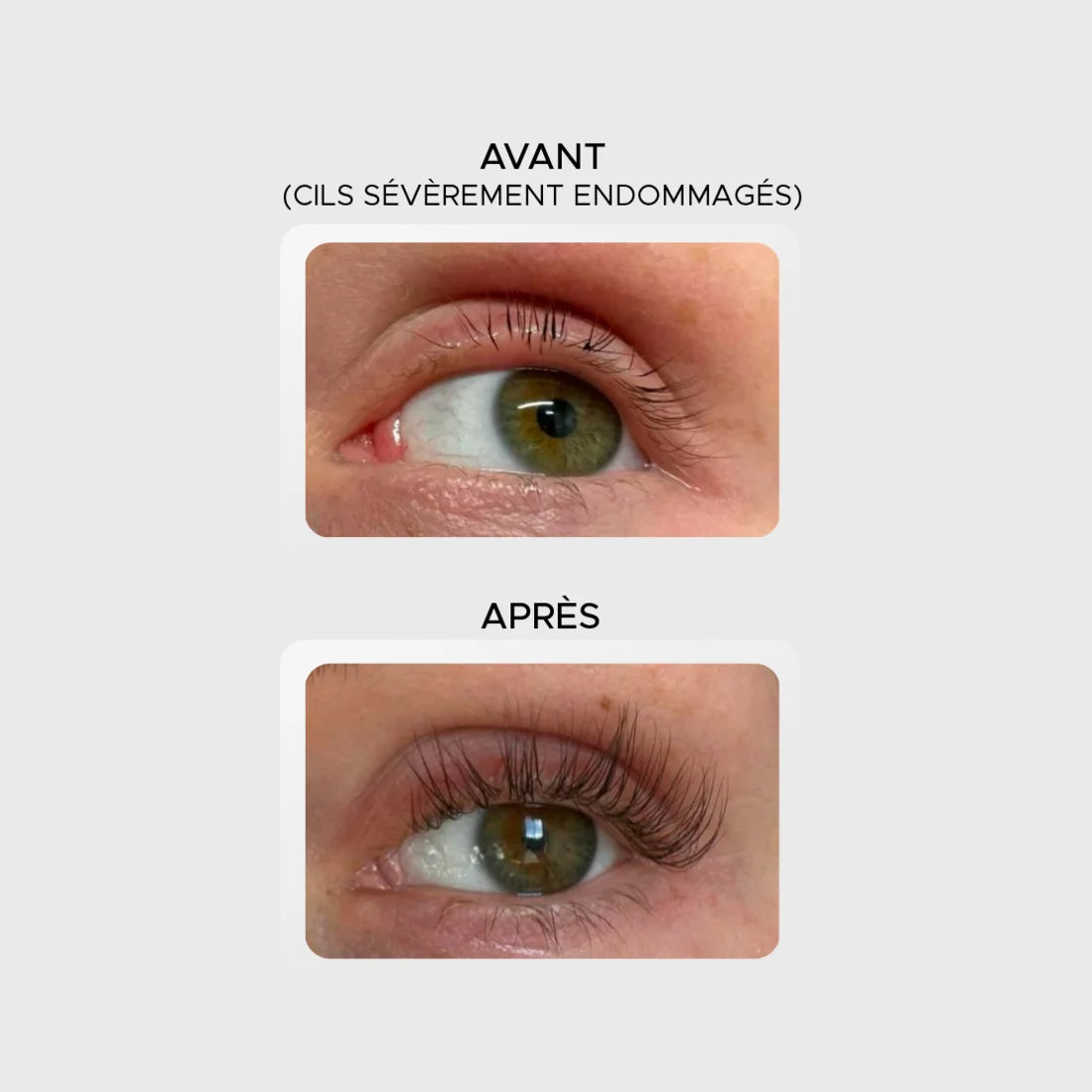 Avant / après — cils sévèrement endommagés, récupérés