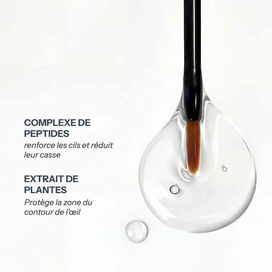 Le cycle de croissance du cil, de la phase anagène à la phase de repos