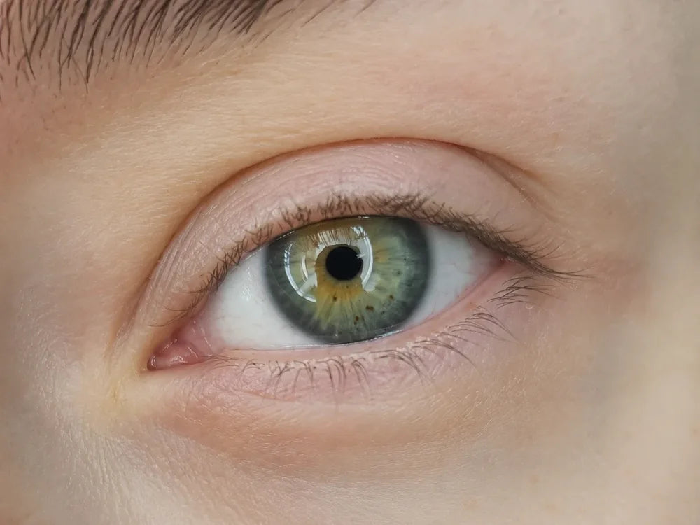 Cils — progression de la cure semaine après semaine